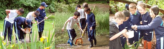 Children in Epping Forest