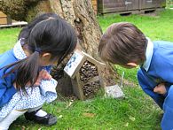 Children looking at ladybird nest